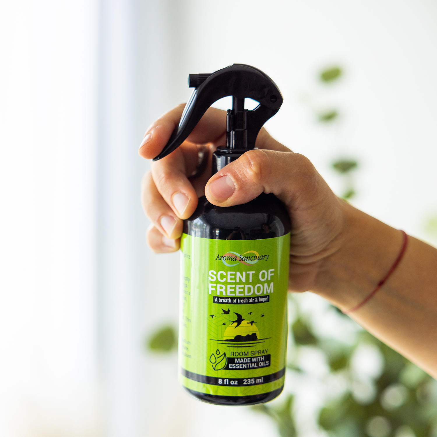Hand holding Scent of Freedom plant-based room spray by Aroma Sanctuary