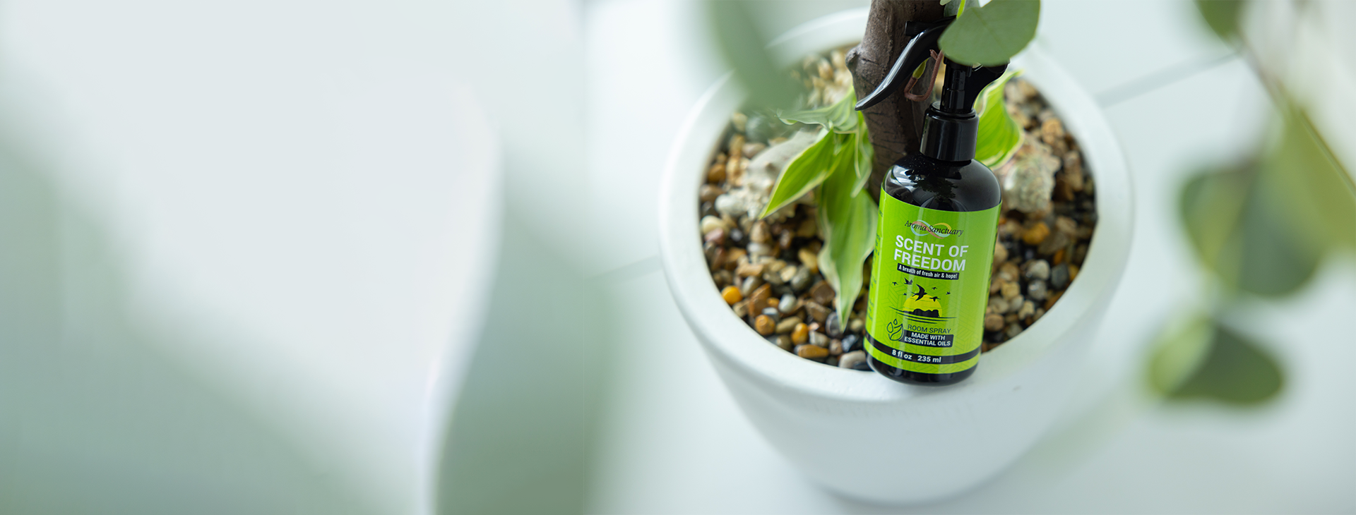 Scent of Freedom room spray from Aroma Sanctuary, displayed in a white pot with a plant, a natural, essential oil-based fragrance.